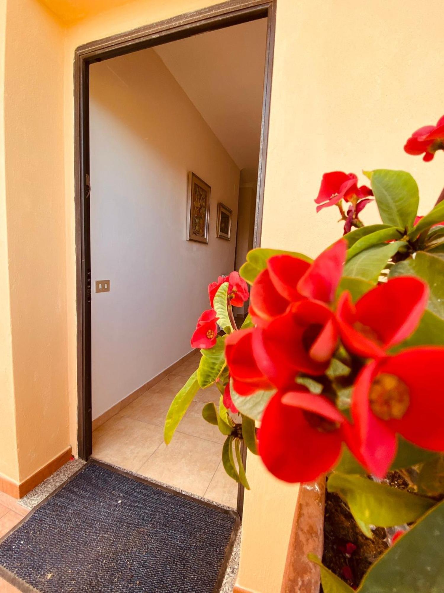 Villa Bella Vista Santa Domenica  Bagian luar foto